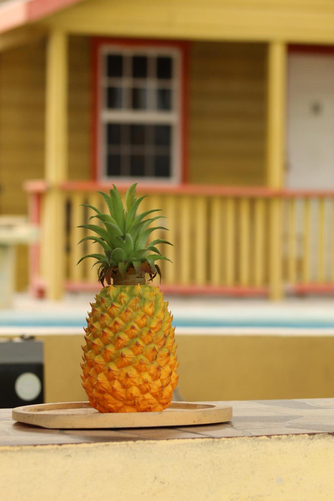 Tropical Paradise Caye Caulker Εξωτερικό φωτογραφία